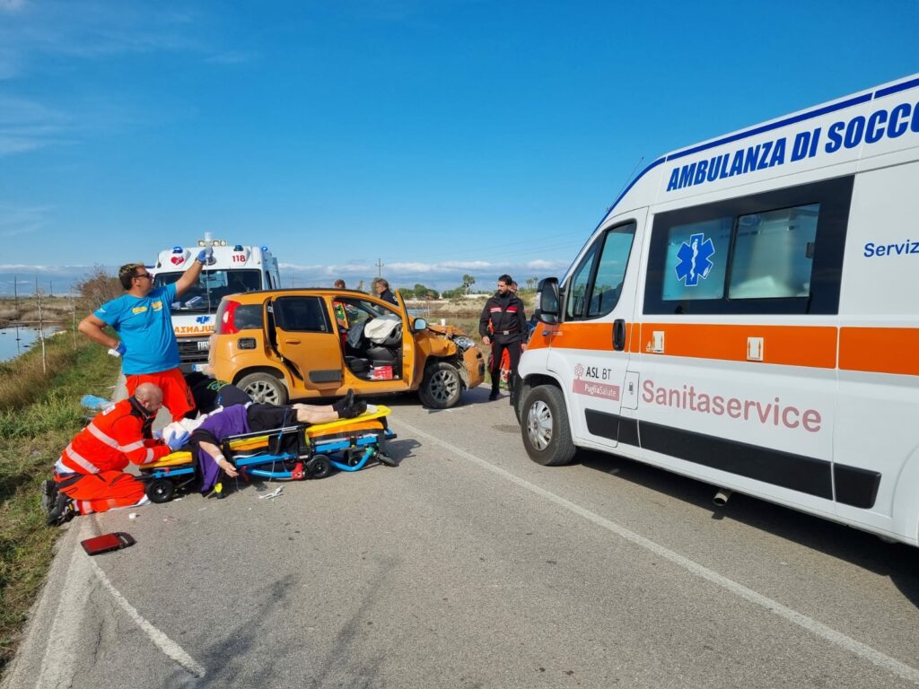 IMG-20241104-WA0039-1024x768 Incidente sulla SP Manfredonia-Zapponeta: soccorsi tempestivi e stori di fedeltà del cane Michi.